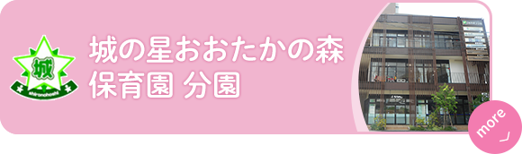 城の星おおたかの森保育園　分園