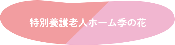 特別養護老人ホーム季の花